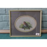 A framed watercolour of a robin in an oval mount, signed 'J H Haylett 1980',