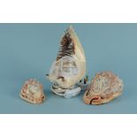 Two carved cameo shells plus a carved cameo shell with a view of Vesuvius