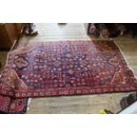 A blue and red ground rug with flower border,