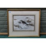 A framed watercolour of a redwing in a winter setting, signed 'Rowles-Chapman',