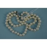 A Lotus pearl necklace with a 9ct white gold diamond set clasp