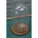 A vintage large glass dome on teak wooden base,