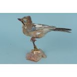 A vintage taxidermy jay on stand,