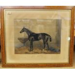 A large framed engraving of 'Sir Bevys' painted by Harry Hall 1879,