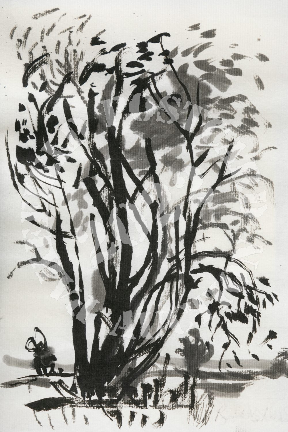 Ash Trees #1. Ink on paper.