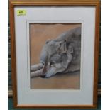 Sally Walker, signed pastel on paper, 'The Young Wolf',