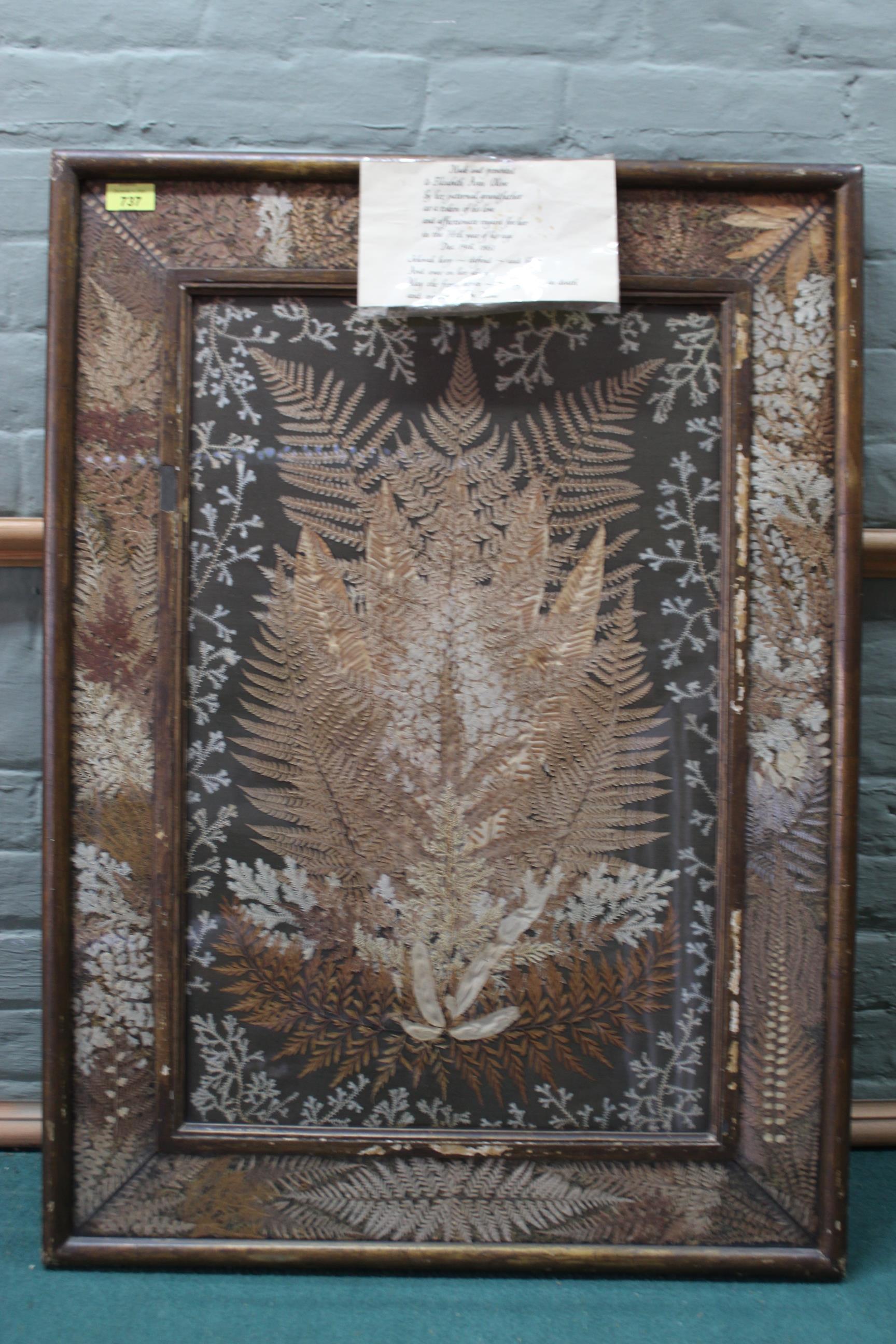 An unusually large Victorian framed and glazed pressed fern picture with a central panel and a