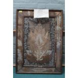 An unusually large Victorian framed and glazed pressed fern picture with a central panel and a