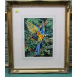 Zoe Elizabeth Norman, watercolour of a macaw parrot,