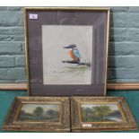 Anthony J Smith, framed watercolour of a kingfisher,