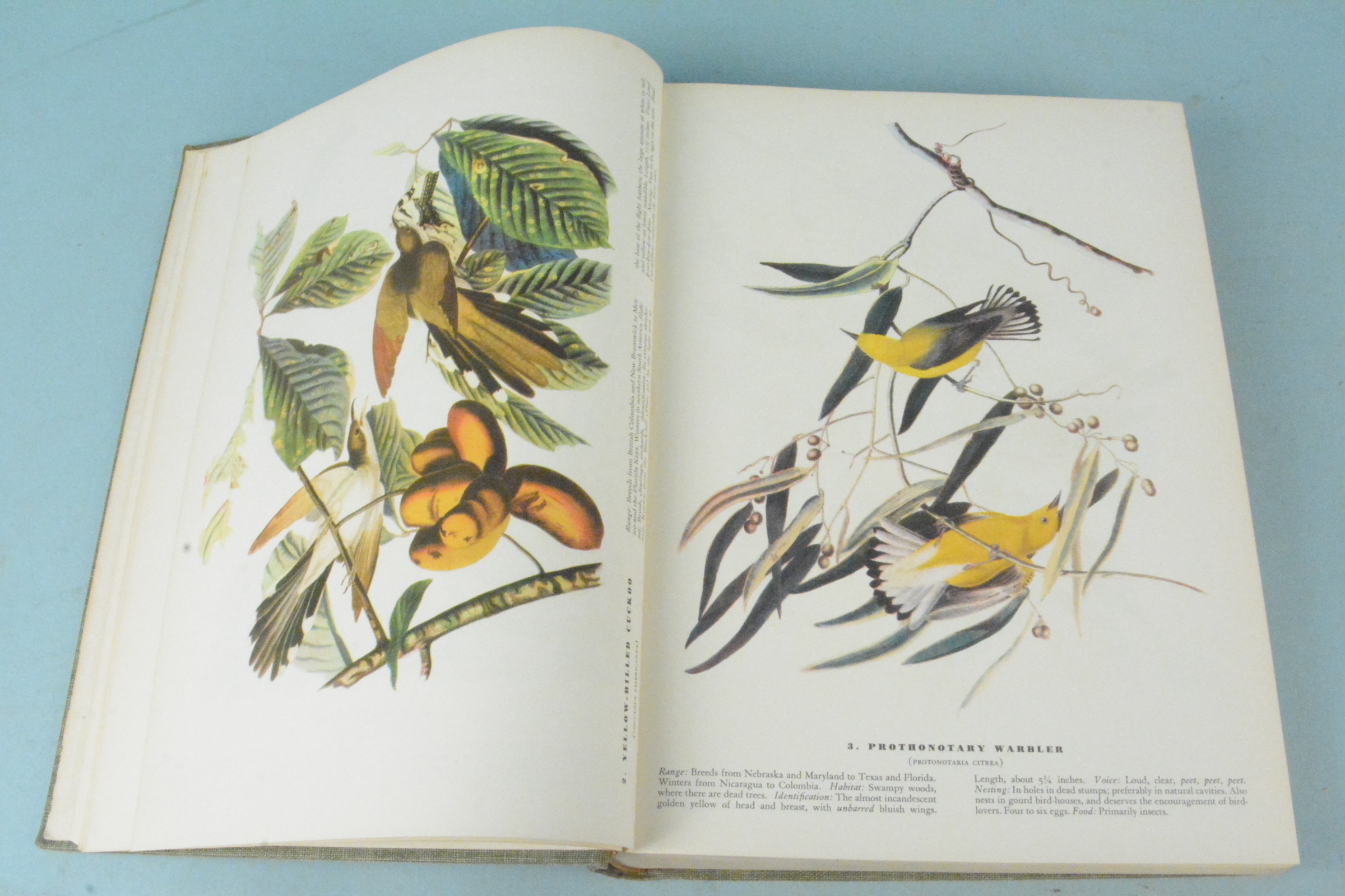 The Birds of America by John James Audubon 1937,