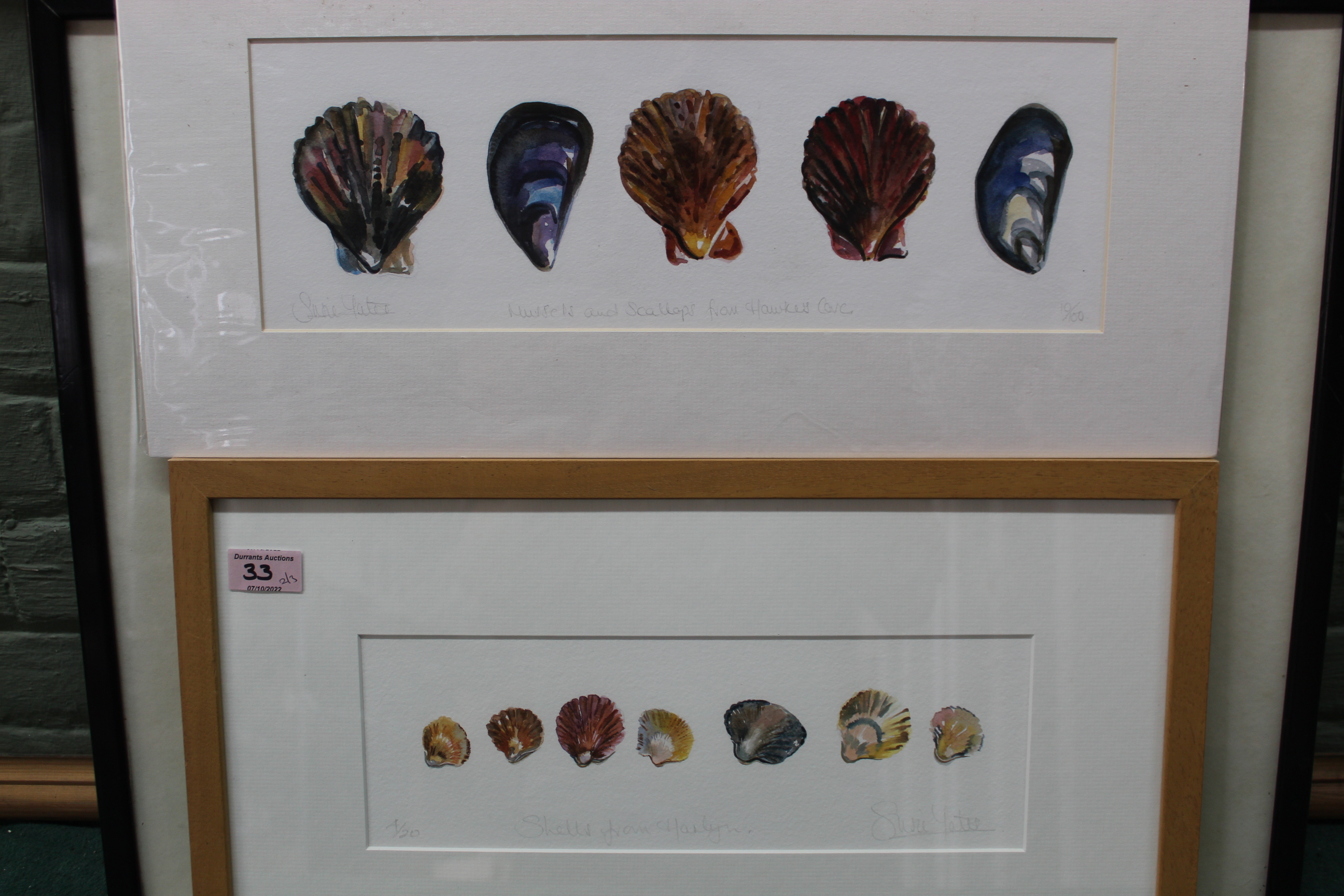 A framed printed Saxton's map of Suffolk plus framed and loose Susie Yates prints of shells, - Image 3 of 3