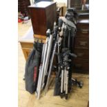 Assorted photographic tripods and others