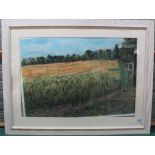 A large framed pastel of a cornfield with wild flowers in the foreground by Jane Spence,