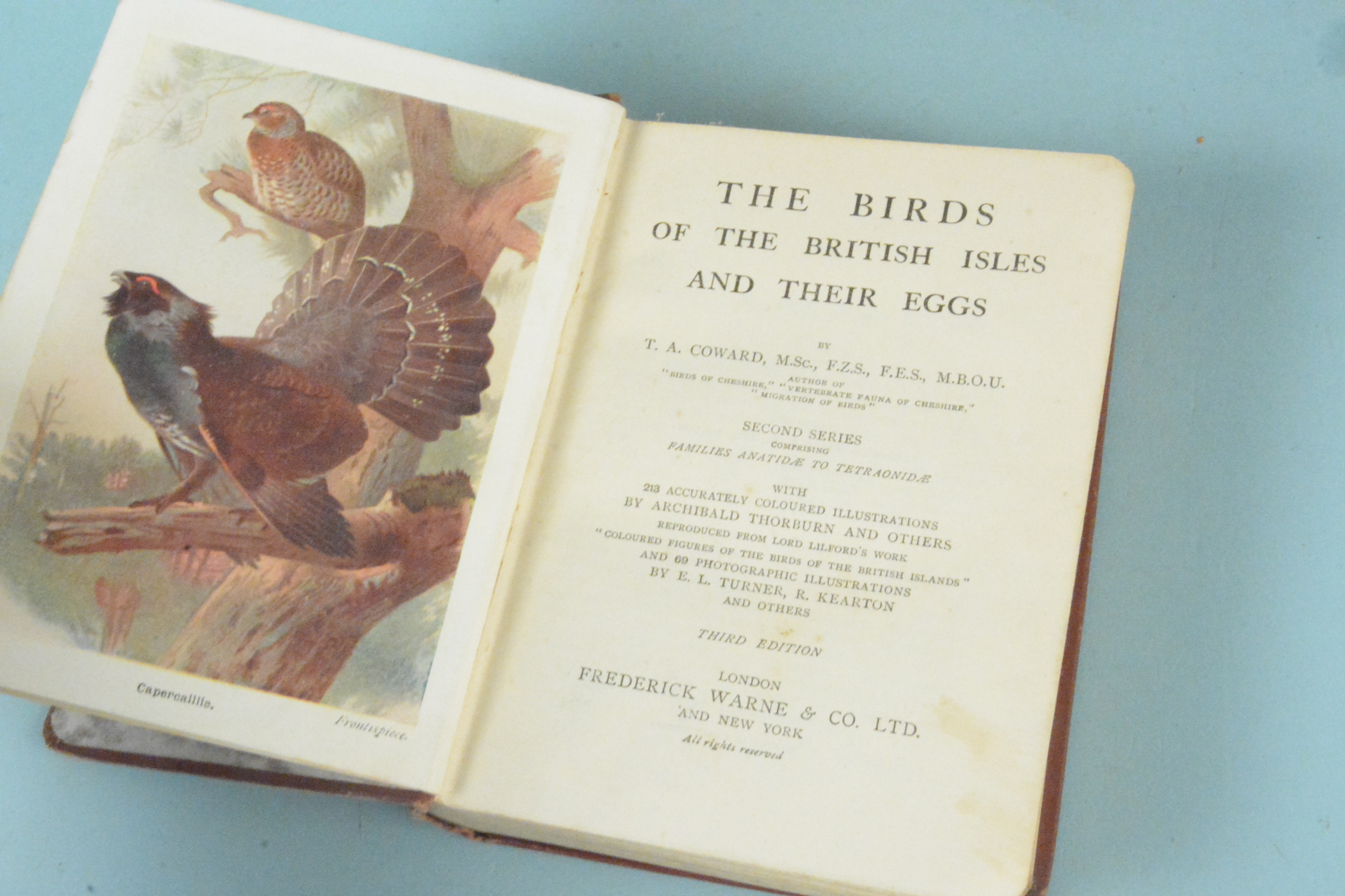 Birds of the British Isles and their Eggs by T A Coward 3rd edition plus The Moths of the British - Image 2 of 3