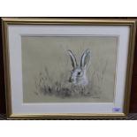 A framed chalk and pastel study of a hare, signed 'Patricia Potter',
