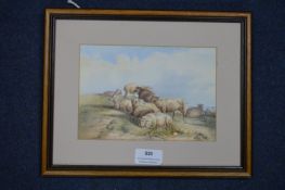 Watercolour Sketch of Sheep by Louisa Holt (unglazed)
