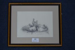 Pencil Sketch of Hens by Louisa Holt 1836
