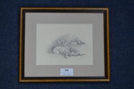 Pencil Sketch of Hounds by Louisa Holt 1837