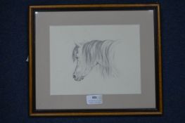Pencil Sketch of a Pony by Louisa Holt 1841