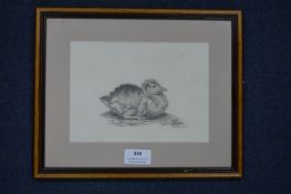 Pencil Sketch of a Duckling by Louisa Holt 1837