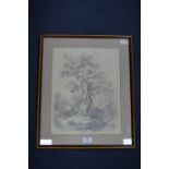 Pencil Sketch of Great Windsor Forest signed Louisa Holt 1833
