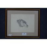 Pencil Sketch of a Pony by Louisa Holt 1836