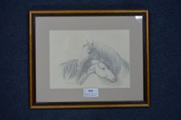 Pencil Sketch of Two Ponies by Louisa Holt 1837