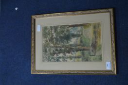 Framed Woodland Watercolour by T. Burwell