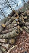*Large Quantity of Assorted Round Timber Lengths
