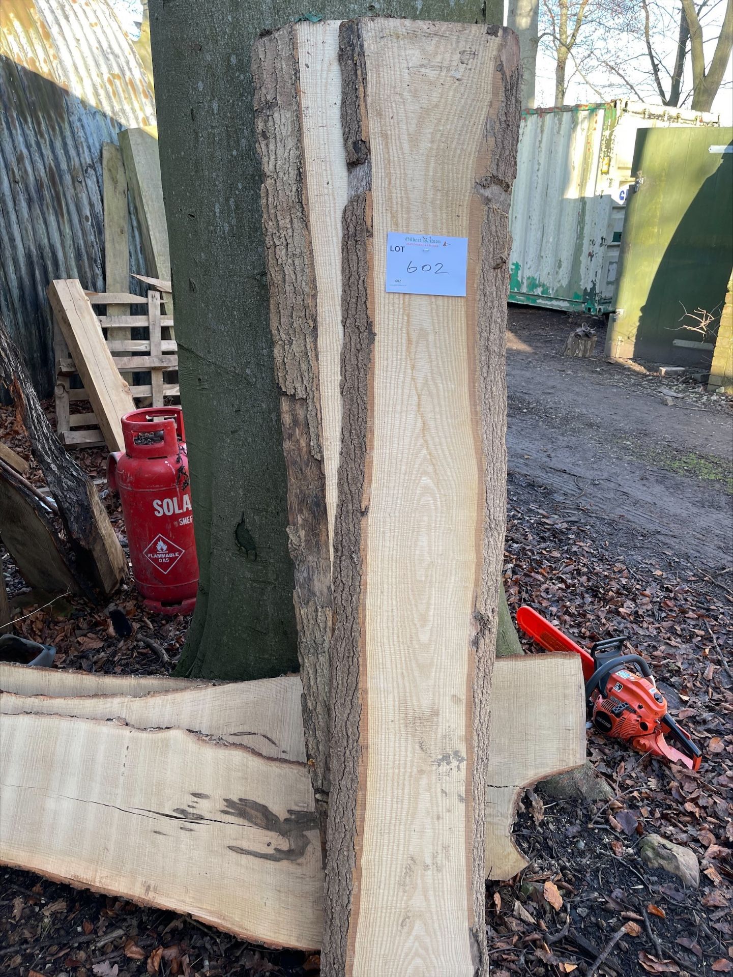 *Two Planks of Ash ~1.8m