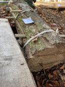 *Log of Honey Locust ~1.6m Precut into Planks