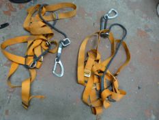 *Two Safety Harnesses