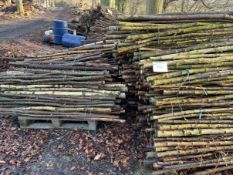 *Two Pallets Containing a Large Quantity of Birch Wooden Stakes