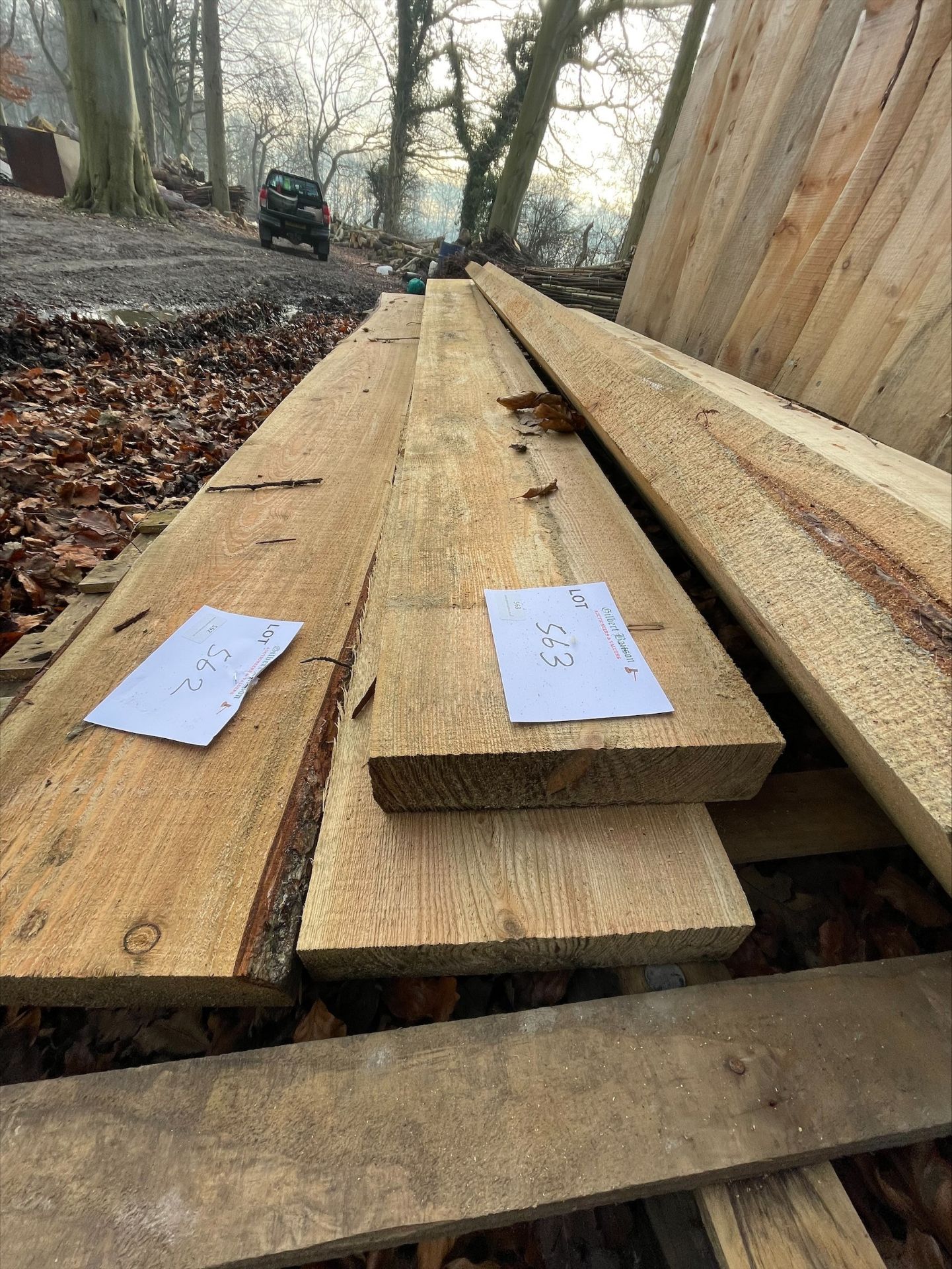 *Pair of ~10ft Larch Planks