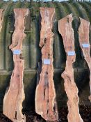 *Plank of Yew ~2.5m
