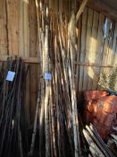 *Quantity of Birch Wooden Stakes ~2.5-3m Long