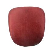 * 100 x red seat pad