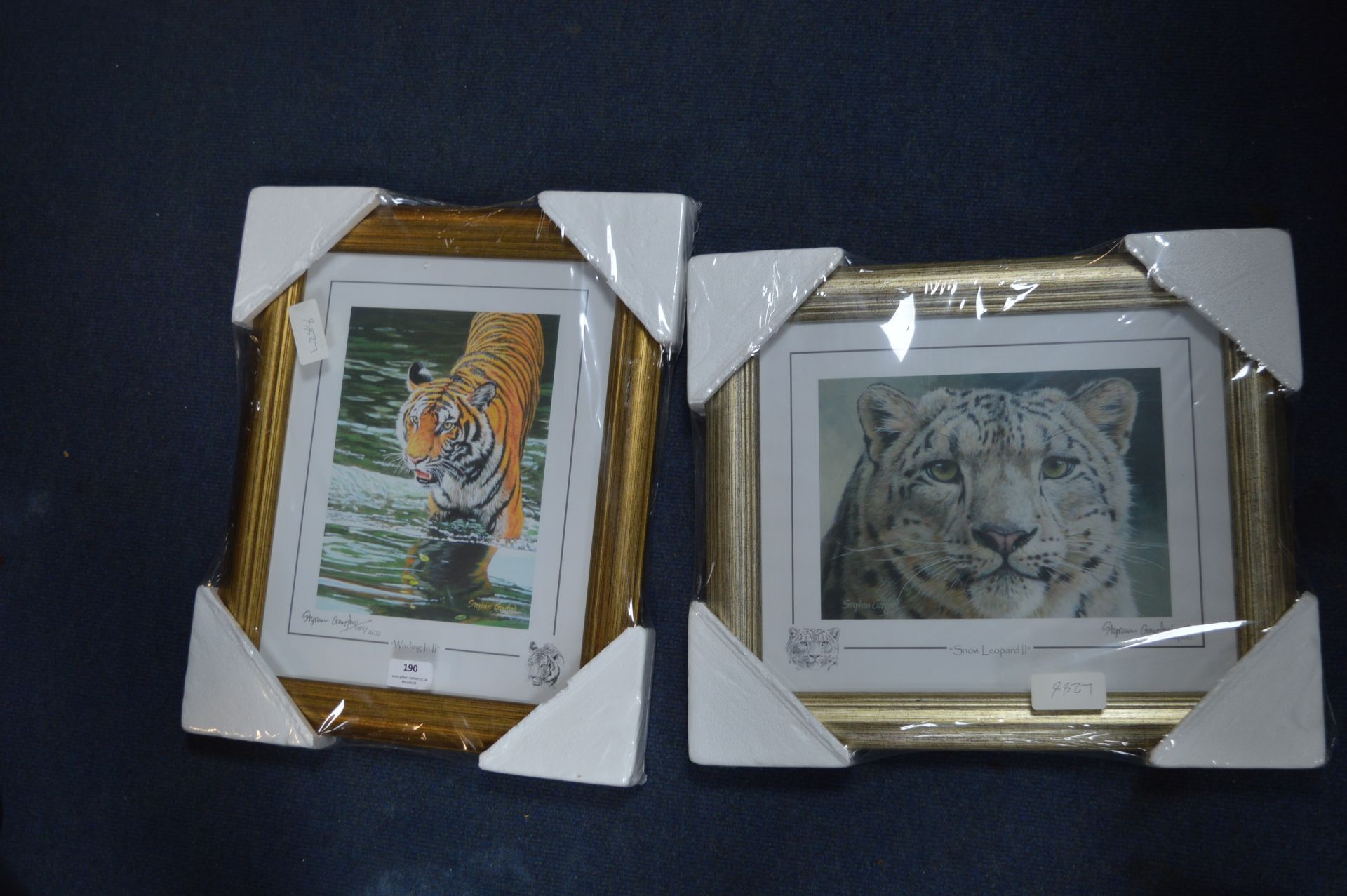 Two Signed Tiger Prints by Stephen Gayford