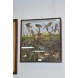 Framed Taxidermy Study of Bird Life with Church Scene