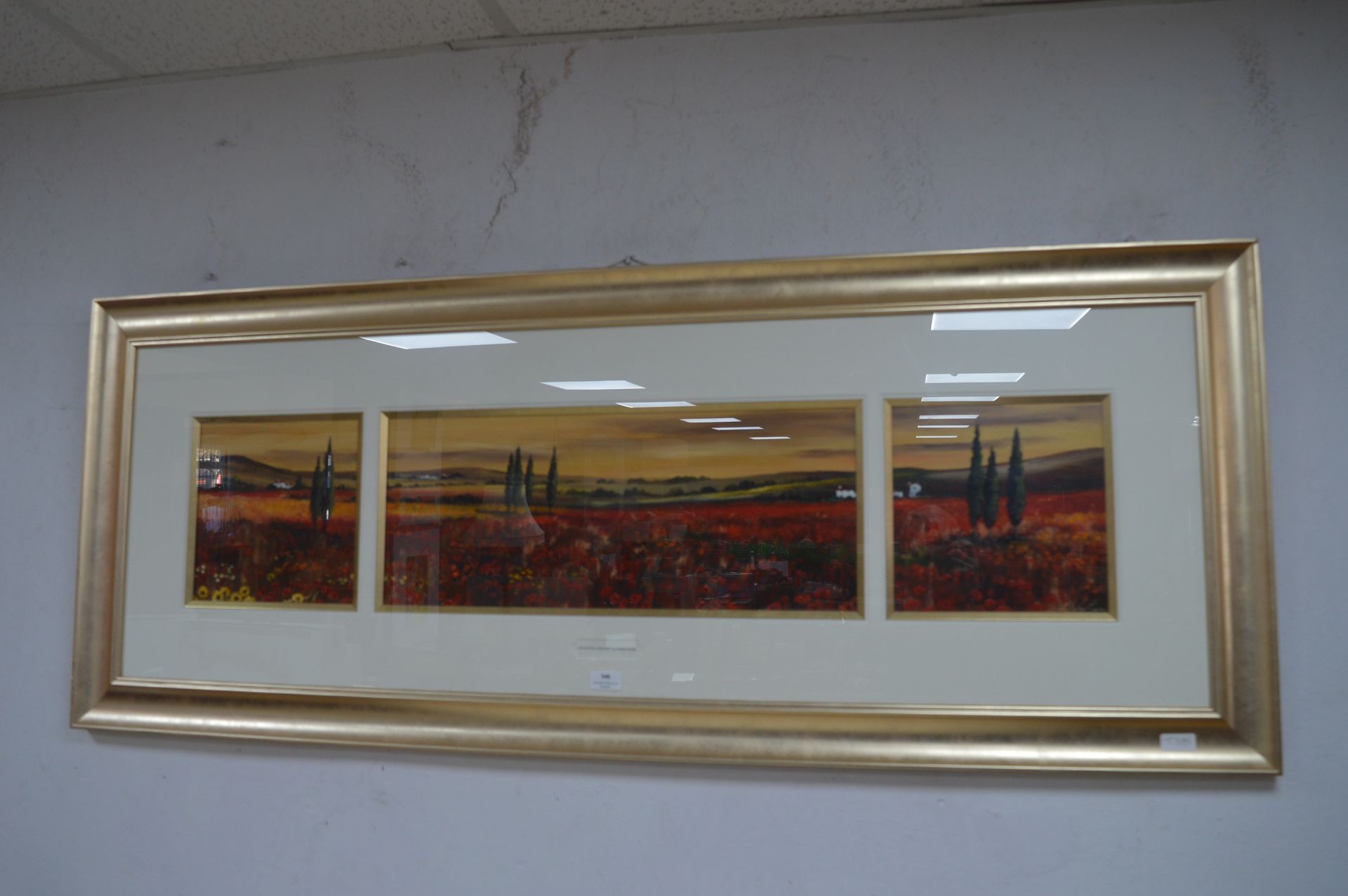 Large Gilt Framed Panorama - Shadows over Red by D