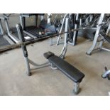 *Life Fitness Flat Olympic Bench (bar not included)