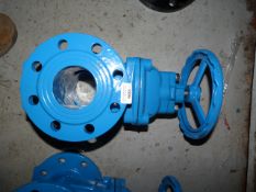 *3” Gate Valve