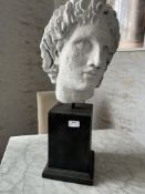 *Roman Style Bust on Plinth