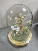 Rabbit under Glass Dome