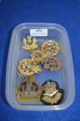 Vintage Military and RAF Cap Badges