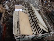 *~9sqm of Sandstone Fossil Garden Pavers