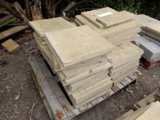 *~75 Assorted Reclaimed Paving Slabs (450x450mm an