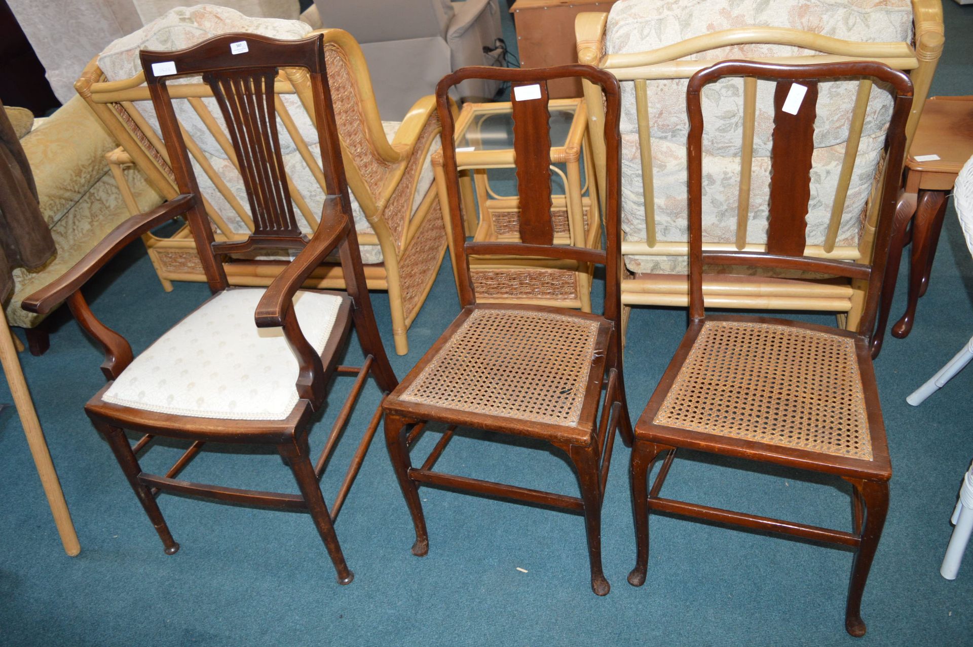 Two Rattan Seat Dining Chairs and a Carver