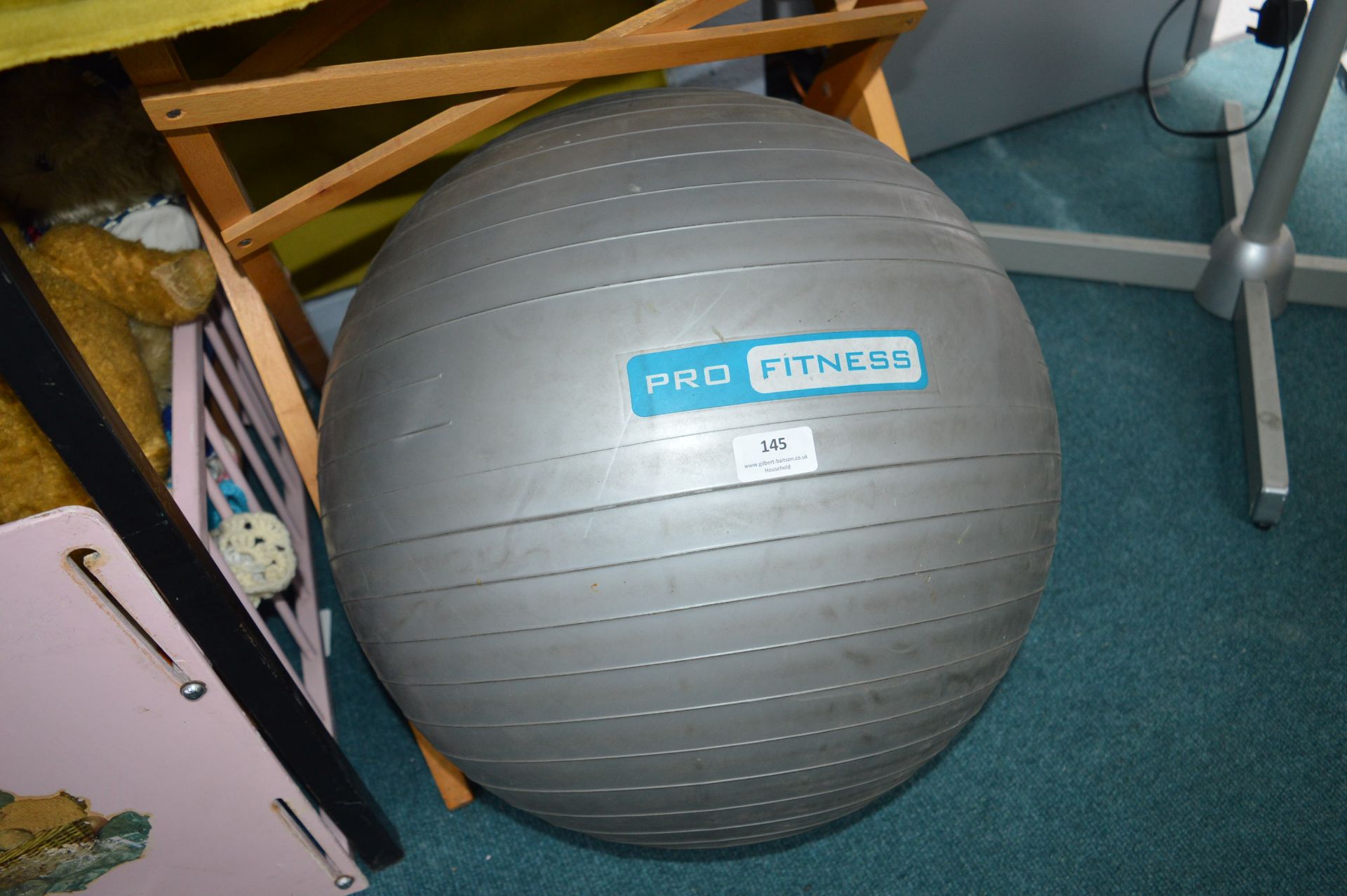 Pro Fitness Exercise Ball